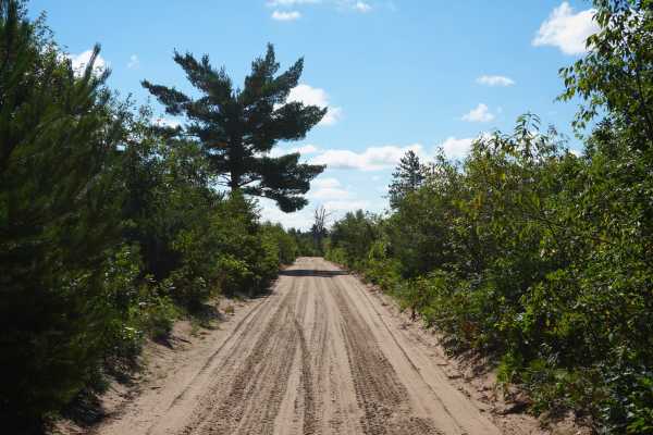 Rollway ORV Trail