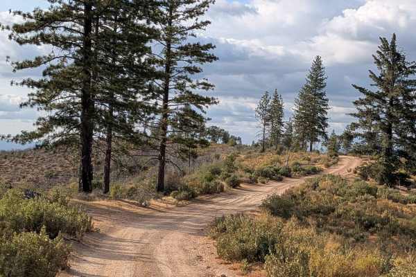 Buffalo Gulch - FS 4S11
