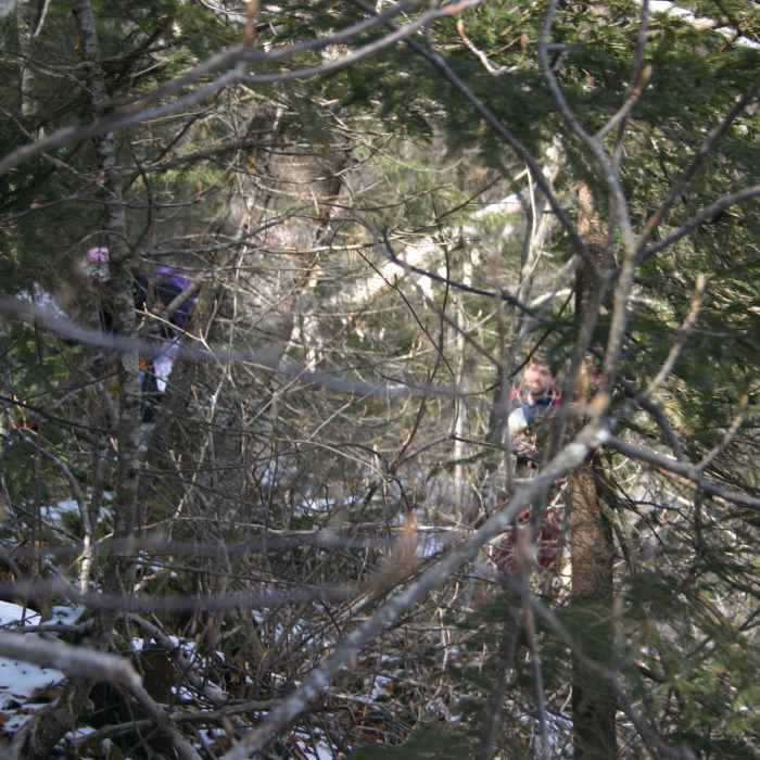 Near Friday Mountain