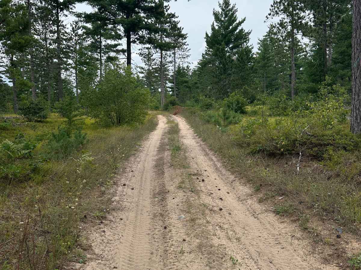 Paddle Trail Cutover  photo 4
