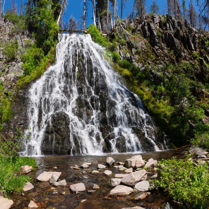 Near Stuart Falls Trail