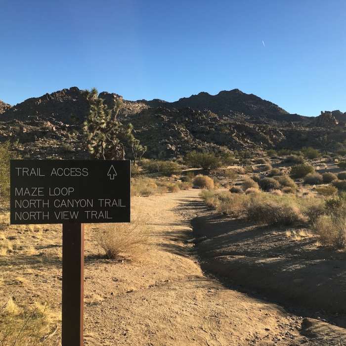 Near The Maze Loop Trail