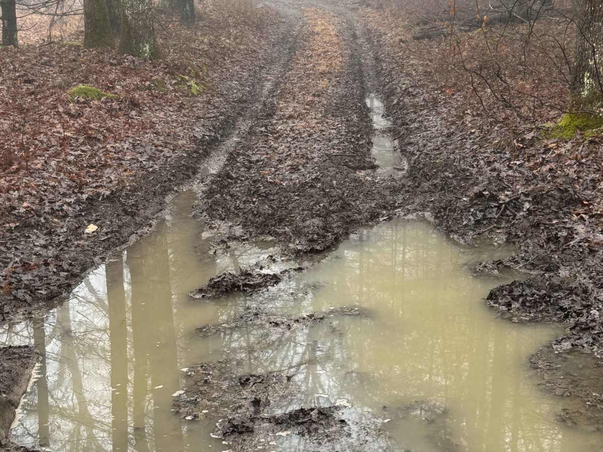 Holland Run Blue Trail photo 2