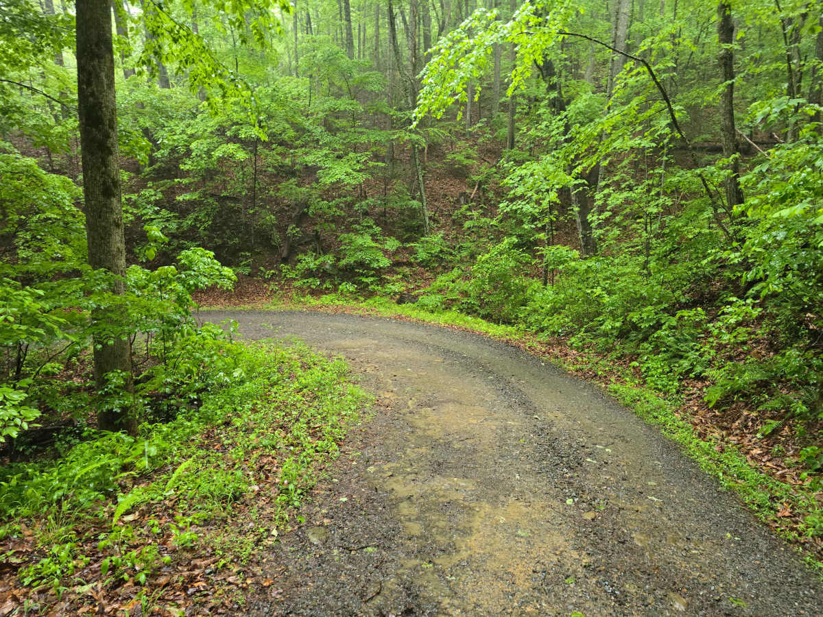 Shuler Creek - FS 50 photo 5