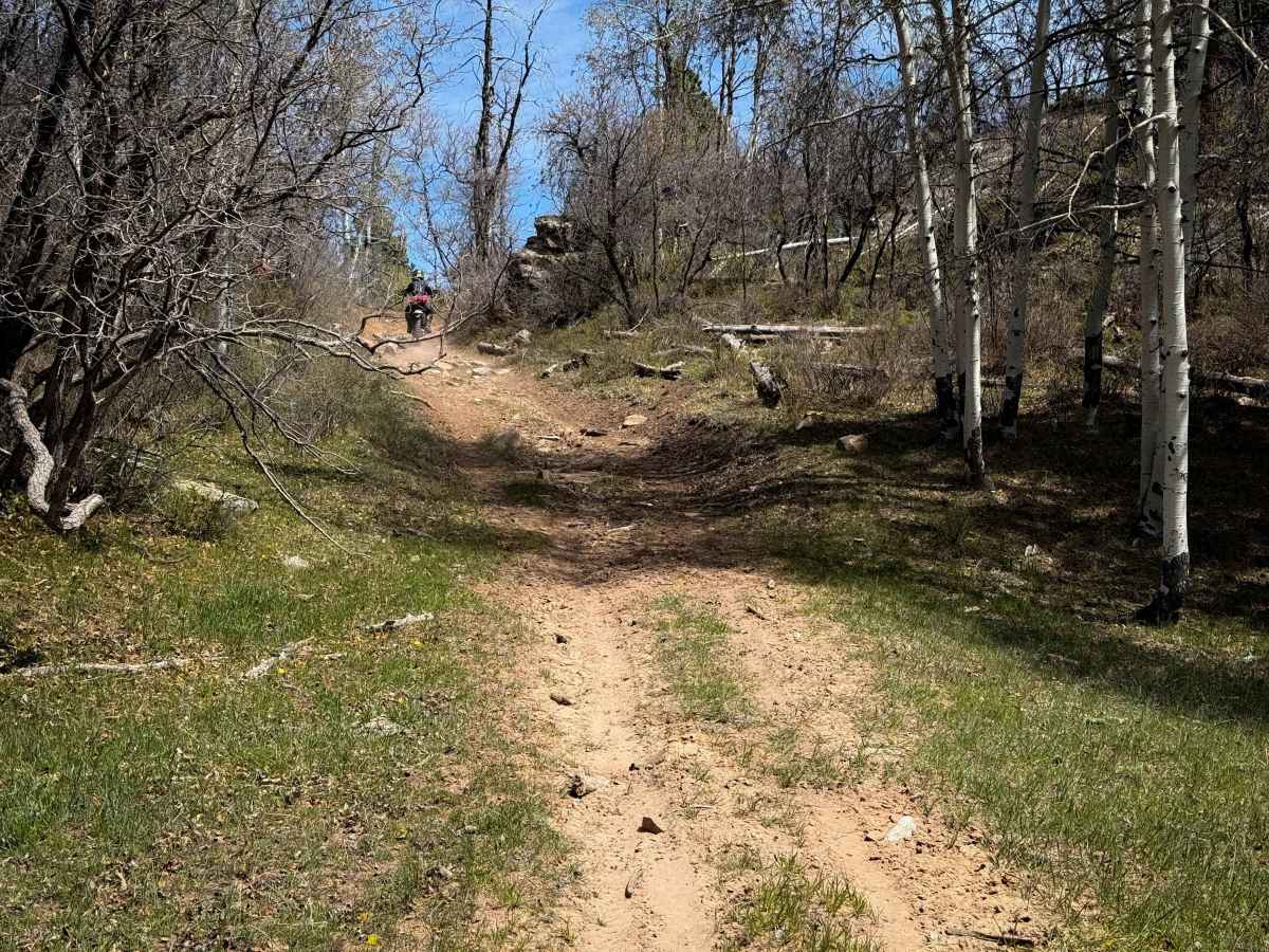 Upper 2 Mile Loop Connector  trail photo