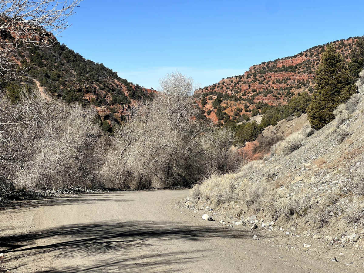 Little Creek Road West photo 2