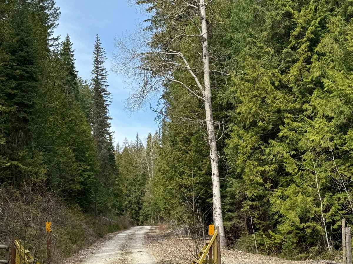 Lower Cabin - FS 6100-090 photo 4