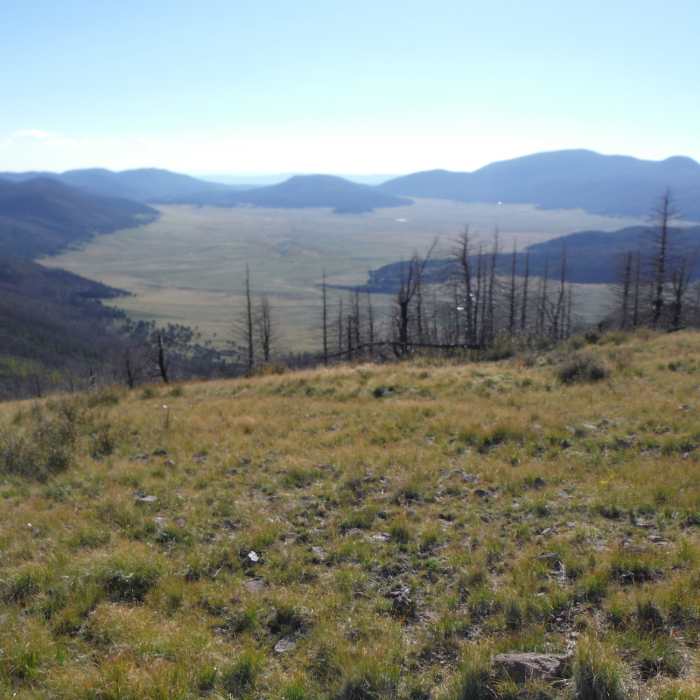 Near Pajarito Mountain Loop
