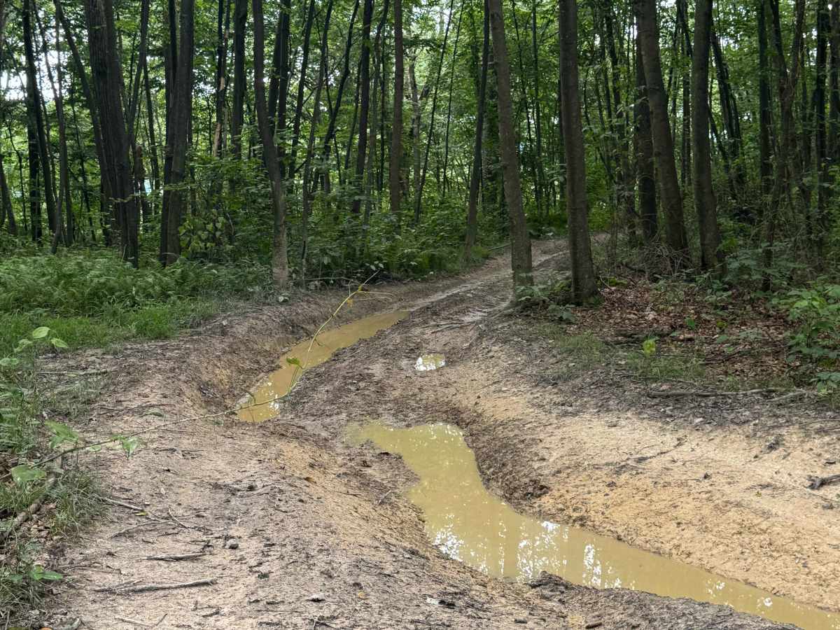 Trail 81 photo 2