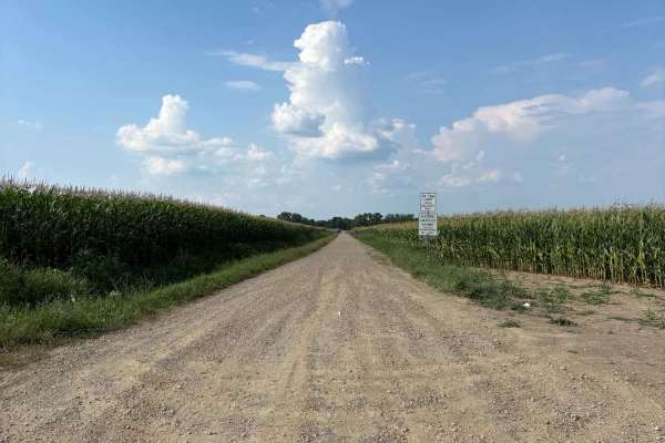 Brian Road