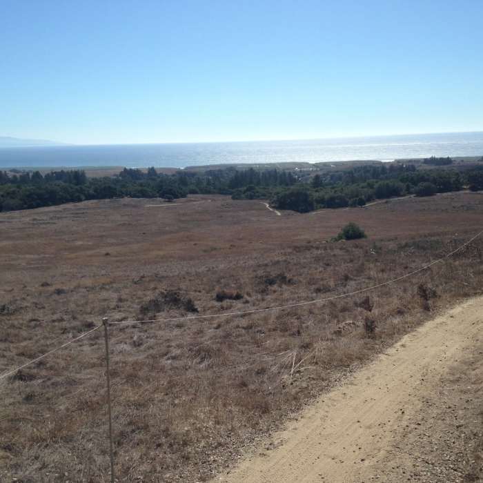 Near Engleman's Loop