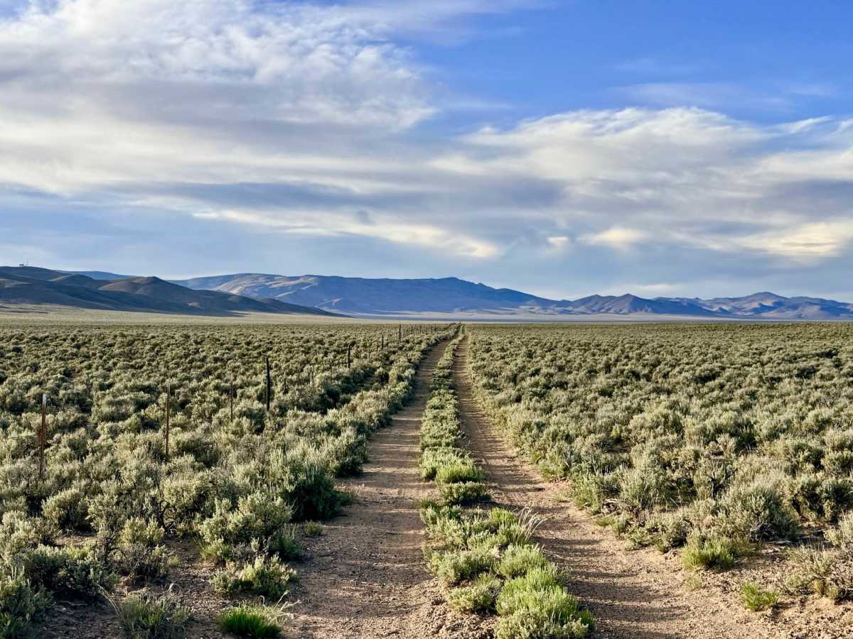 Grimes Ranch Road South trail photo