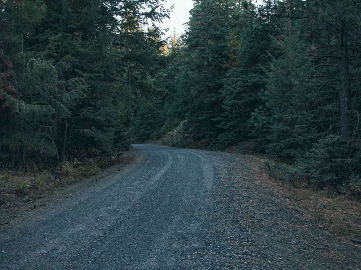 Milk Creek photo 4