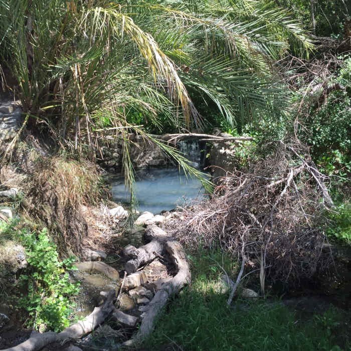 Gaviota Hot Springs Near Gaviota Peak Fire Road