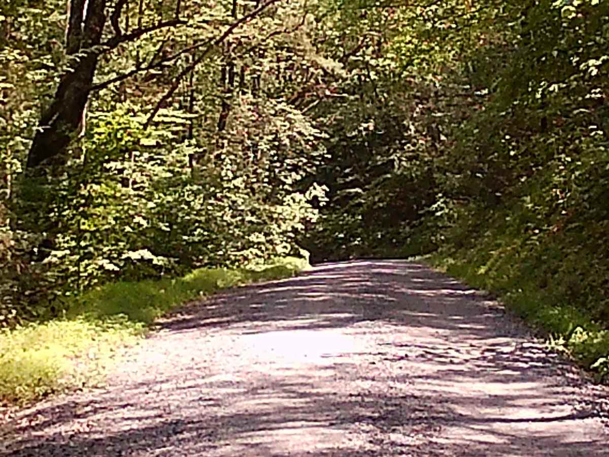 Stover Gap Road photo 4