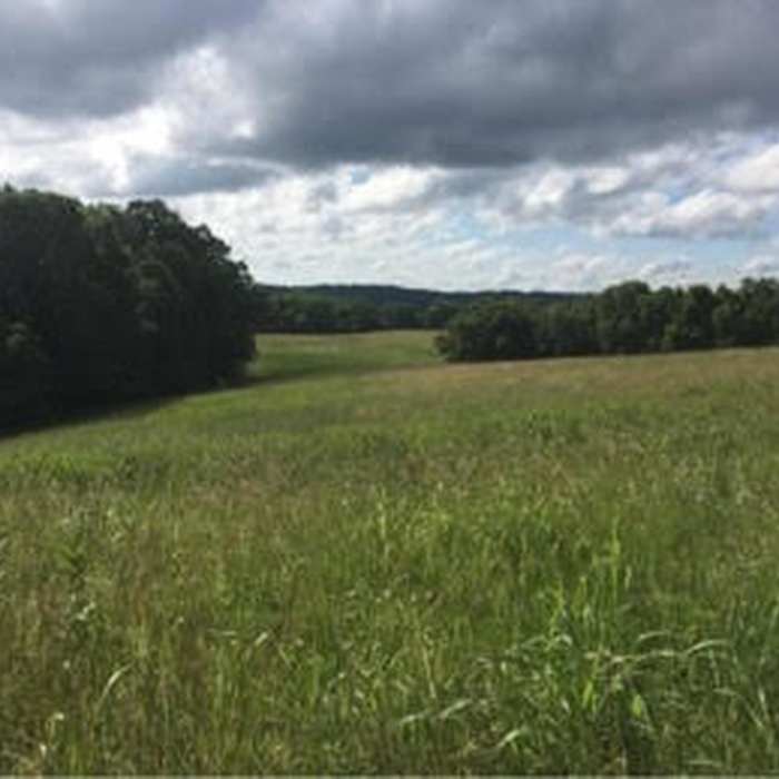 Near The Ridges and River Valley Nature Trails