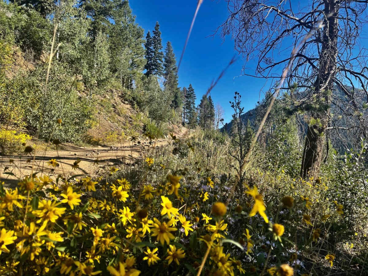 Gardners Fork photo 3