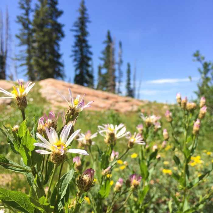 Near Devil's Castle/Sugarloaf via Cecret Lake