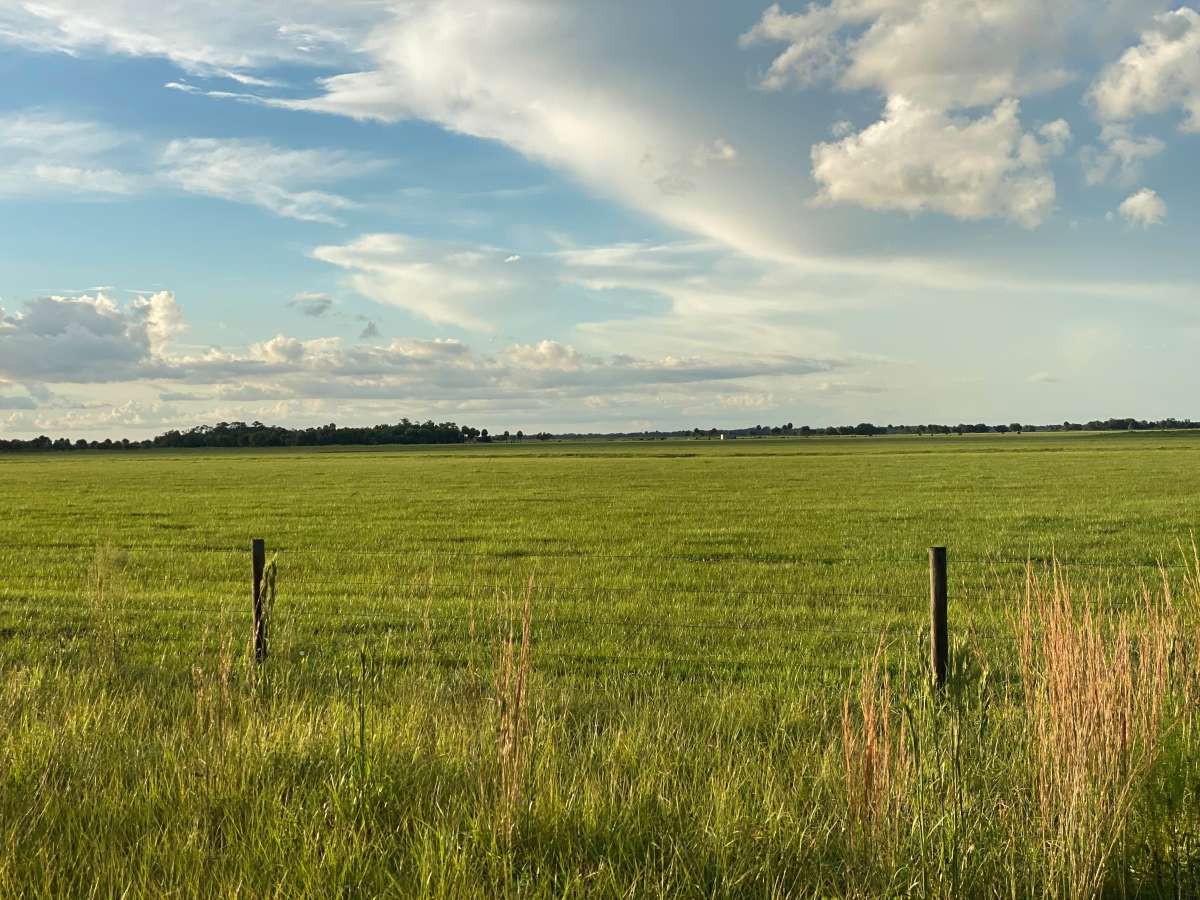 Prairie Creek Preserve photo 5