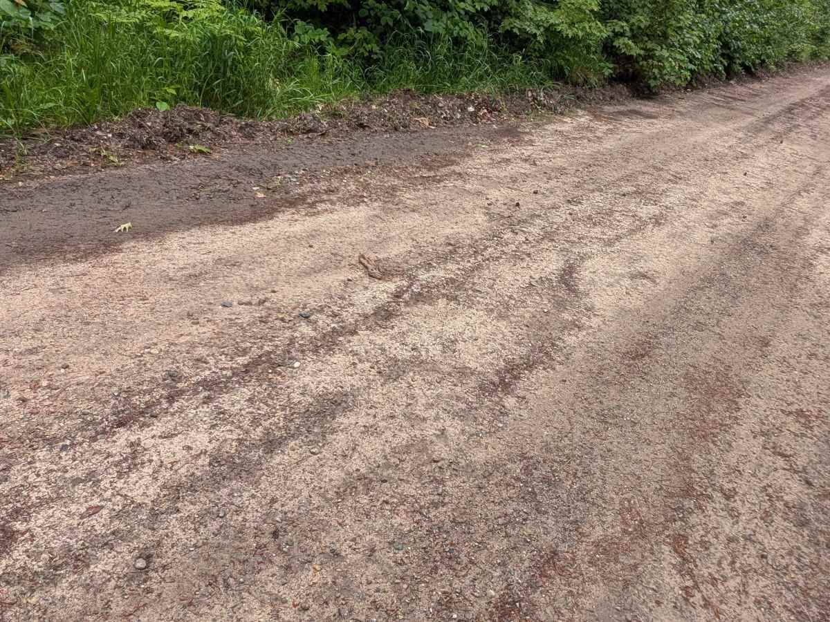 Tower Hill Truck Trail photo 2