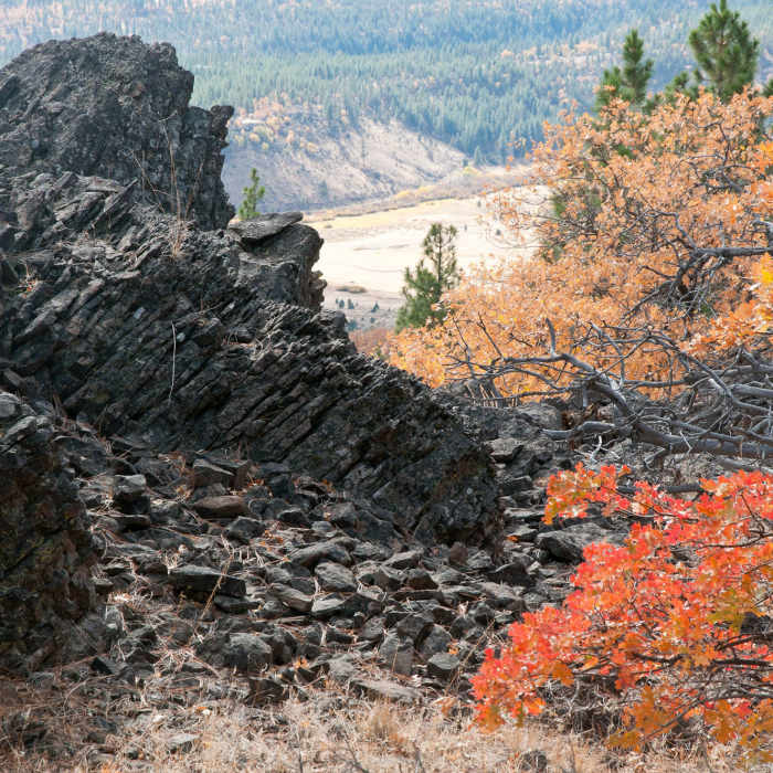 Near Lava Flow