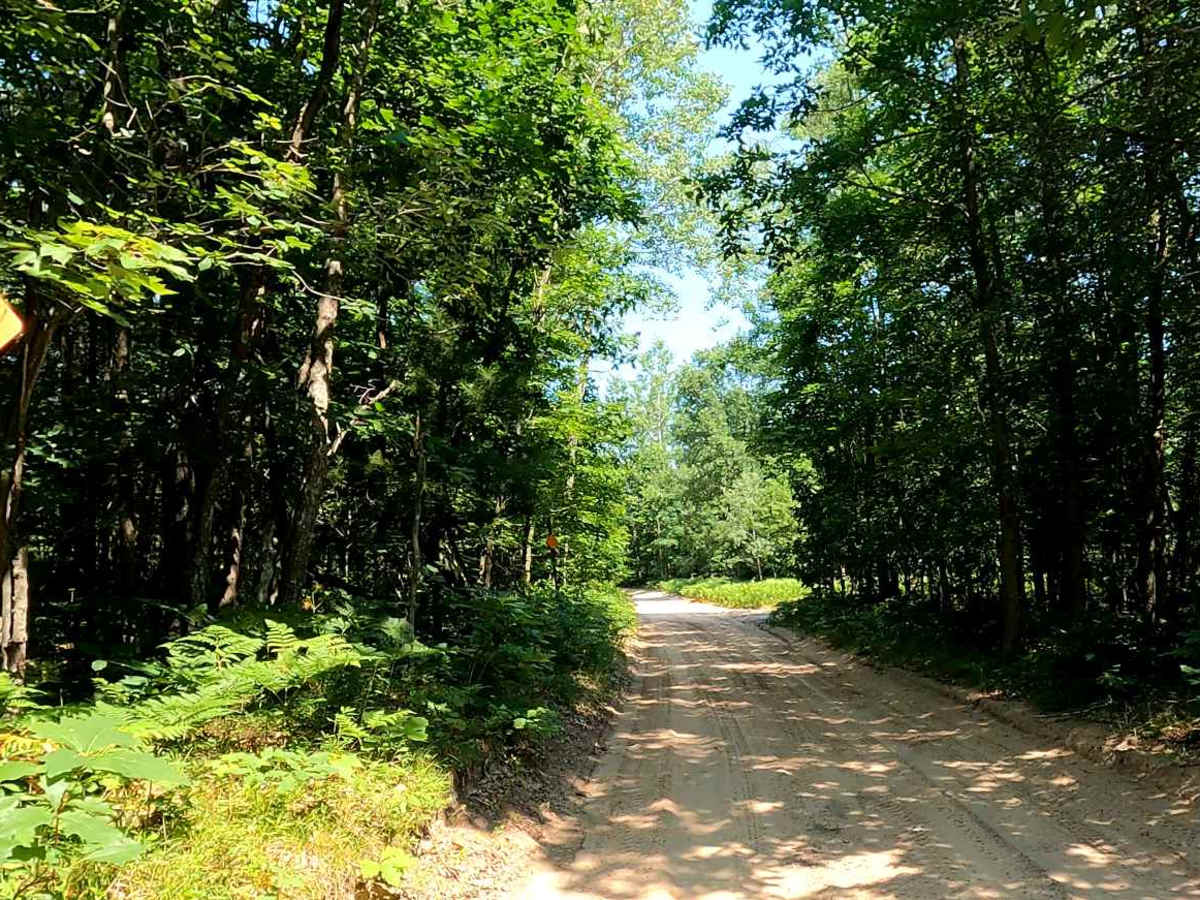 North Missaukee Route & MCCCT Trail/Africa Loop trail photo