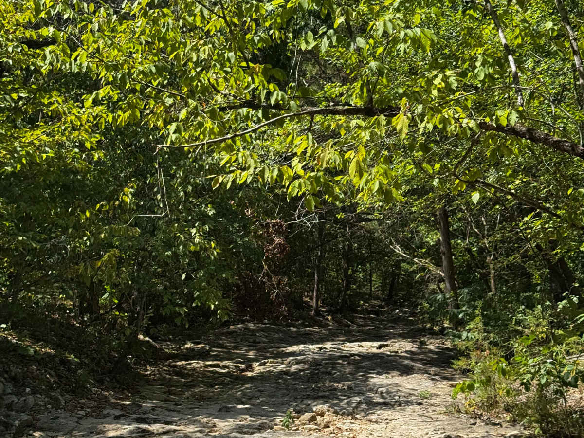 Little Big Foot photo 3