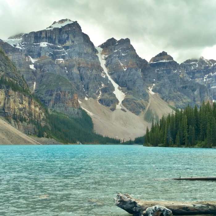 Near Moraine Lake Viewpoint Trail