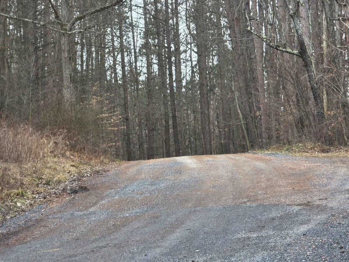 Sand Road photo 6