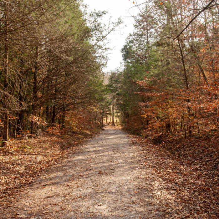 Near Burgess Falls State Park