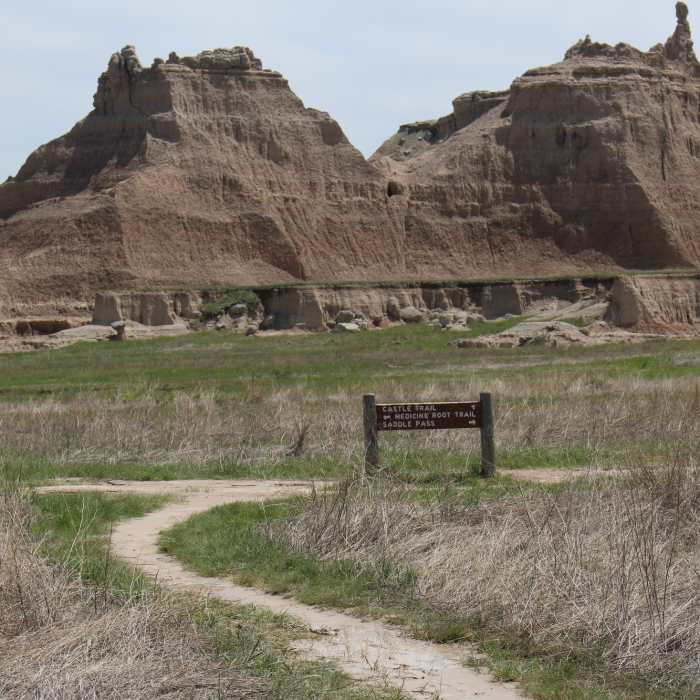 Near Saddle Pass Trail
