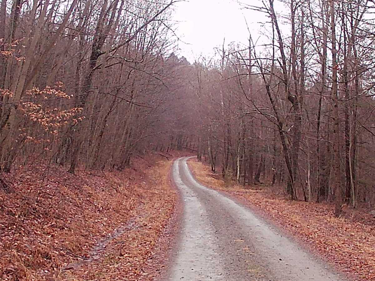 Camp Mountain Road photo 6