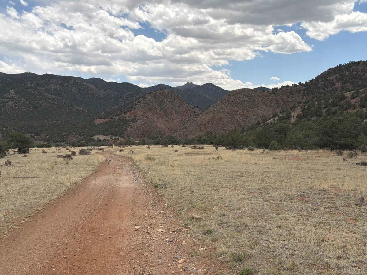 BLM 6021 photo 5