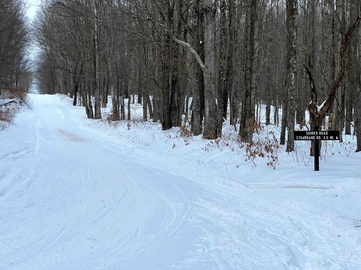Shirks Road trail photo