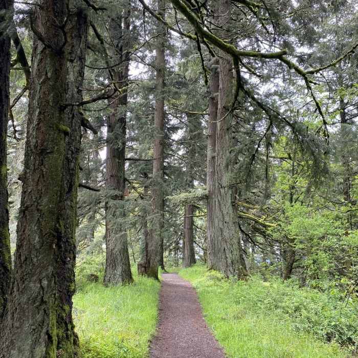 Near Mt. Baldy Ridgeline Trail