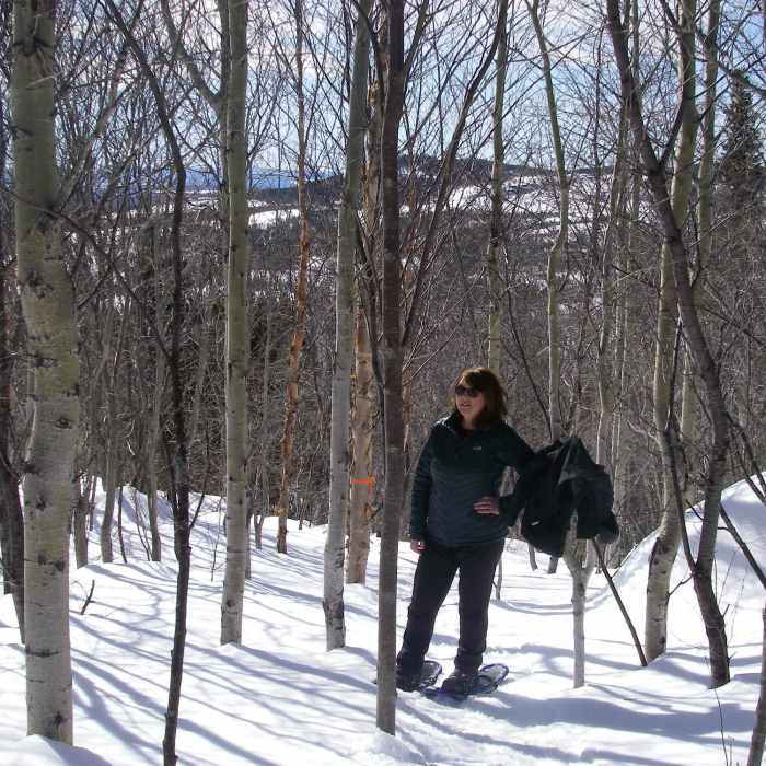 Near Snowshoe Trail D6 - Upper View