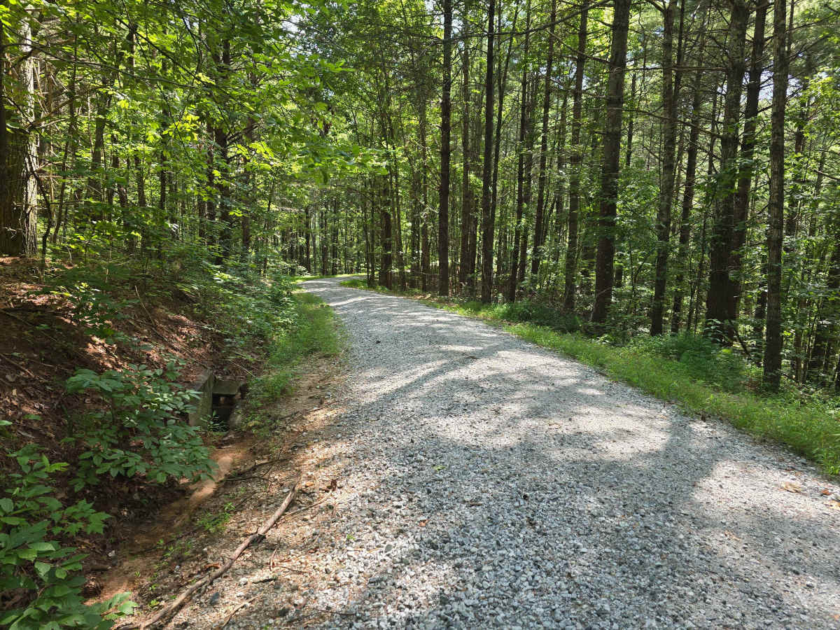 Whetstone Mountain - FS 719 photo 4