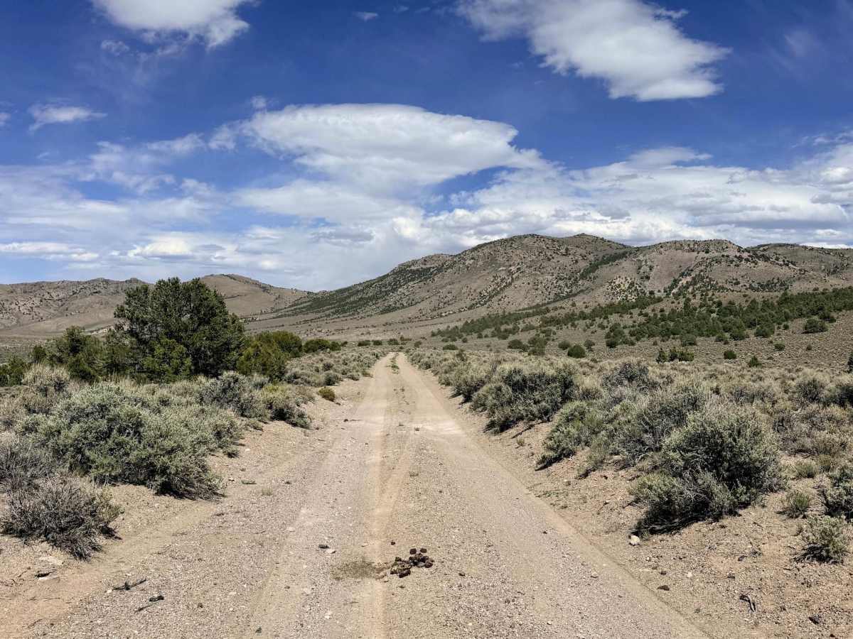 White Sage FS43025 trail photo