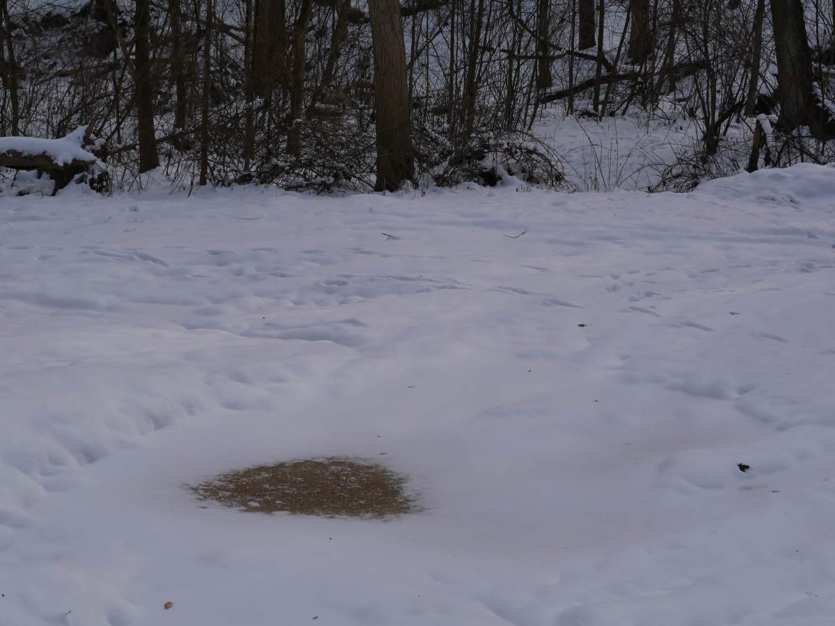 Trail 23 photo 5