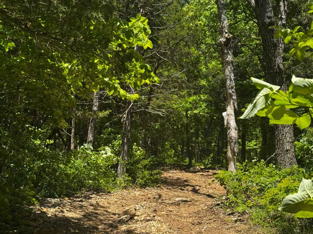 Waterfall Hill  photo 4