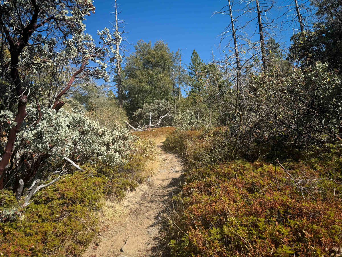 21E338 photo 6
