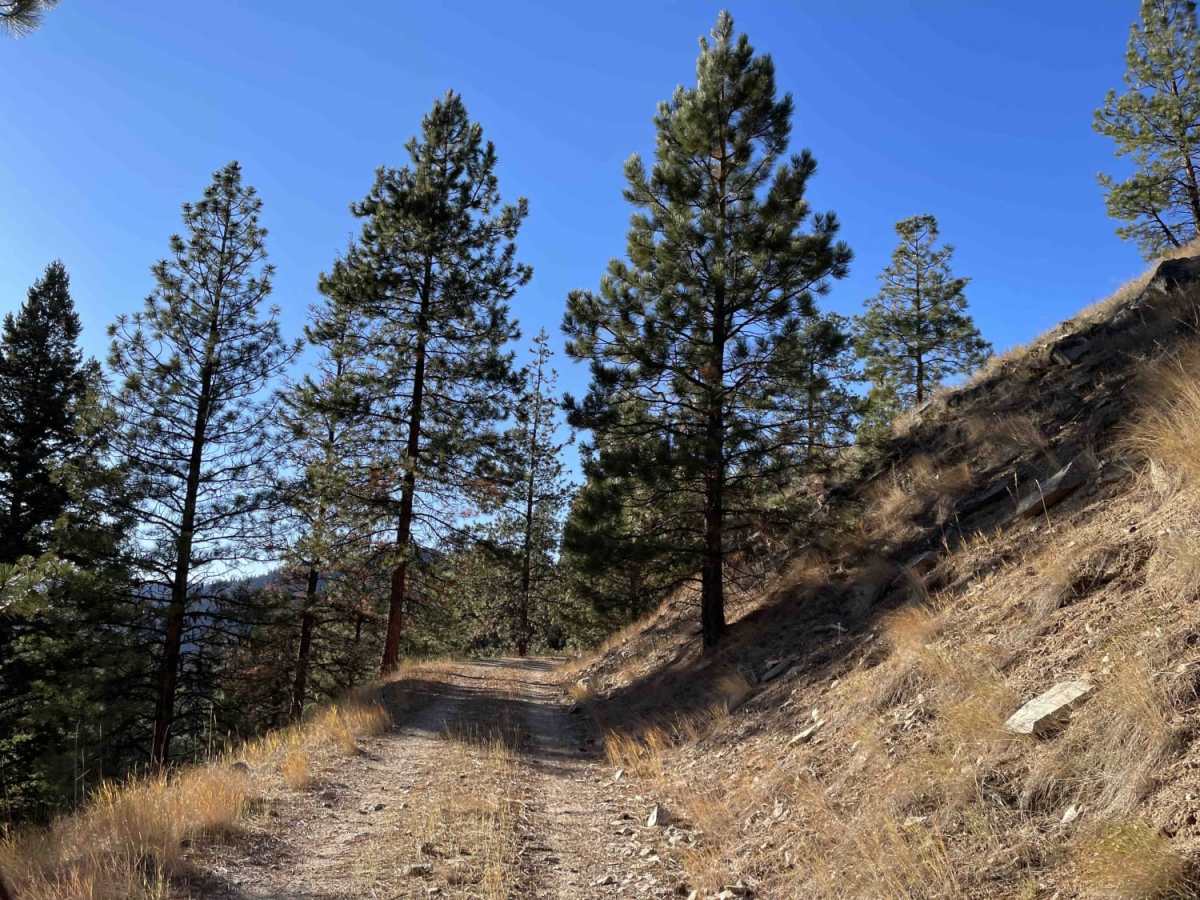 Little Boulder Side Trail photo 3
