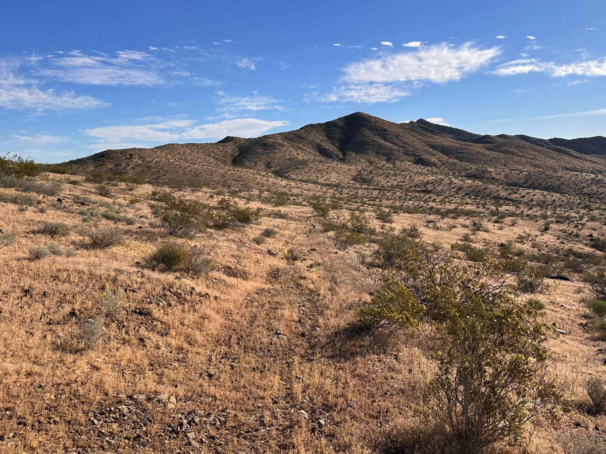 Iron Mesa photo 5