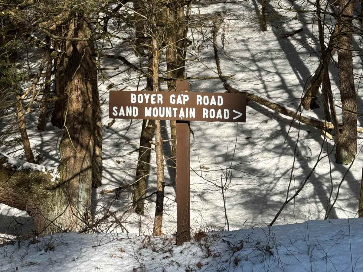 Boyer Gap Road photo 4