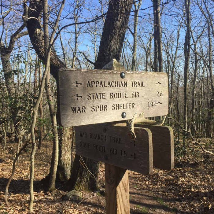 Near Potts Mountain-Salt Pond Mountain Loop