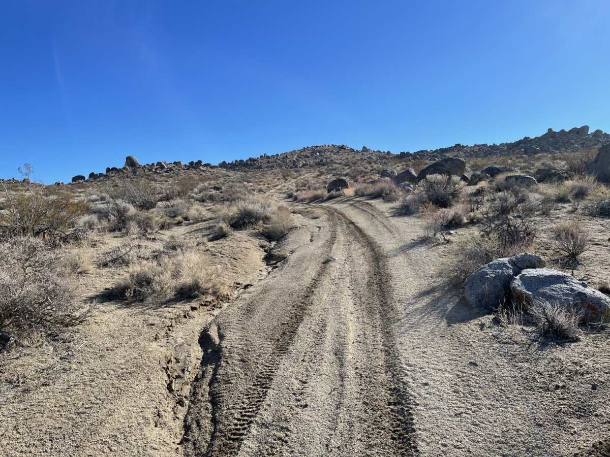 Viejo Road photo 3