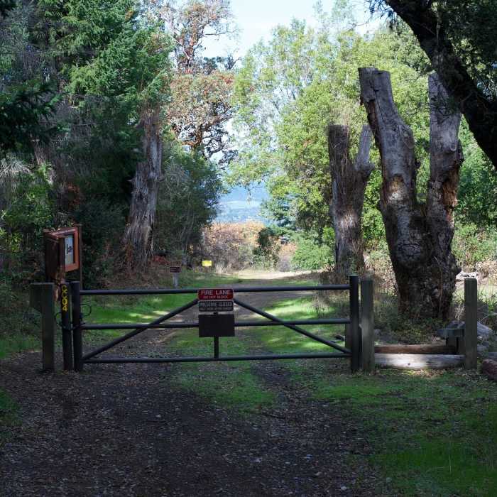Near Coal Road Trail