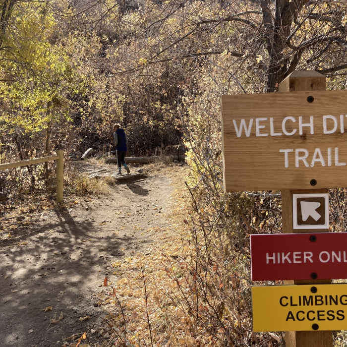 Near Welch Ditch Trail