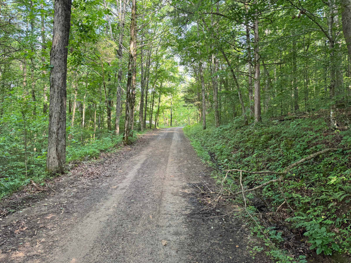 County Road 5681 trail photo