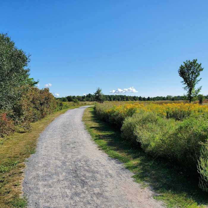 Grasslands on trail 5. Near Lemoine Point Loop